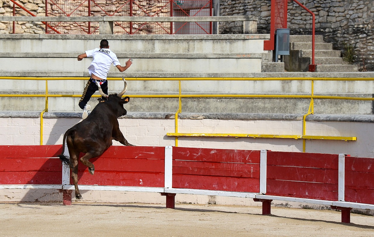 通過合作達
