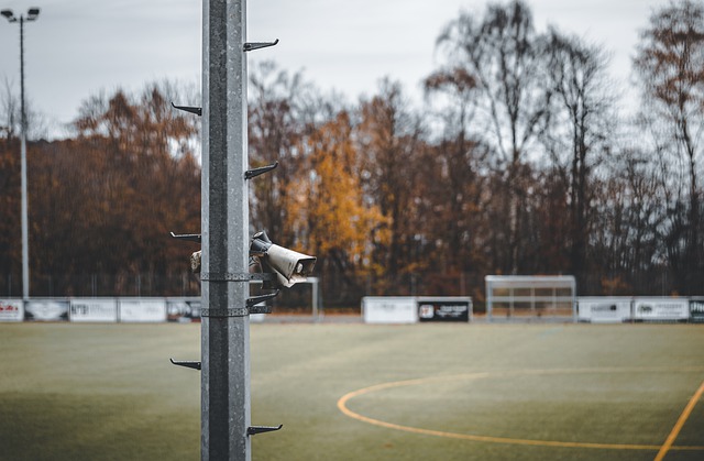 实力和坚韧 实力和坚韧