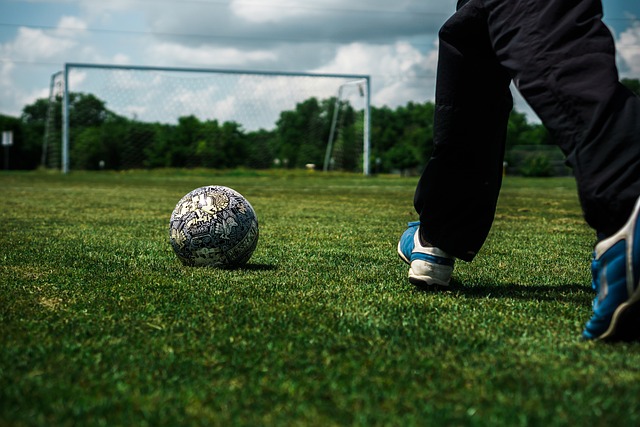 此次正式加 此次正式加