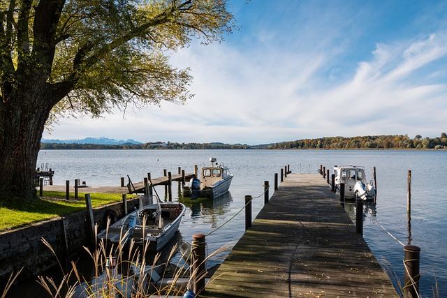 寄予厚望 寄予厚望