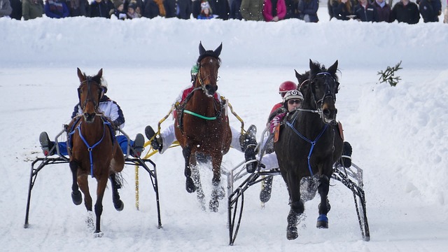 变迎难而上 变迎难而上