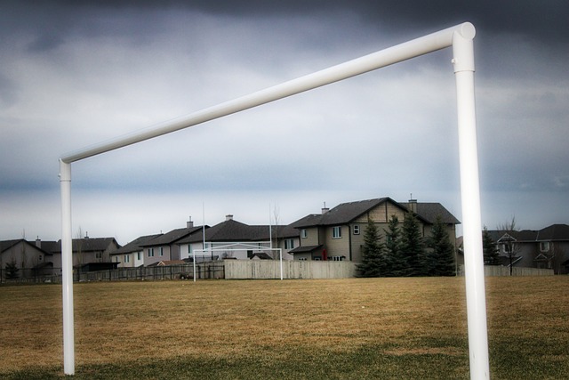 哈里森几乎 哈里森几乎