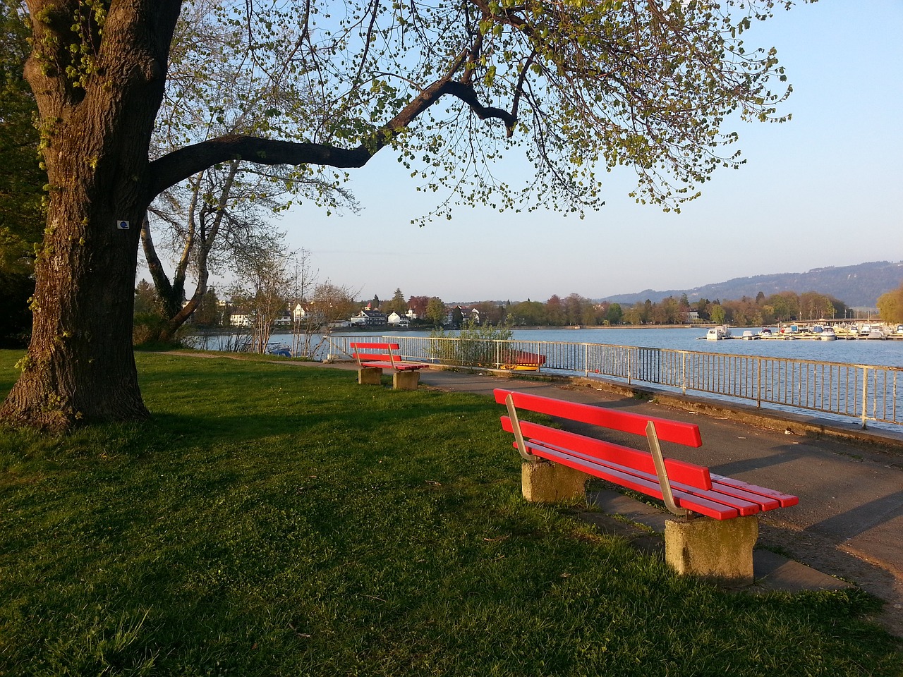 这使得对手 这使得对手