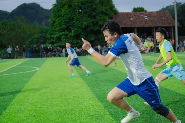 球队在阵地 球队在阵地