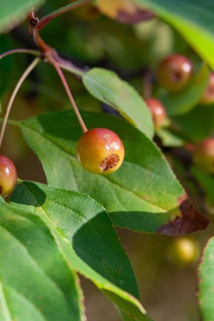 还是最终决 还是最终决