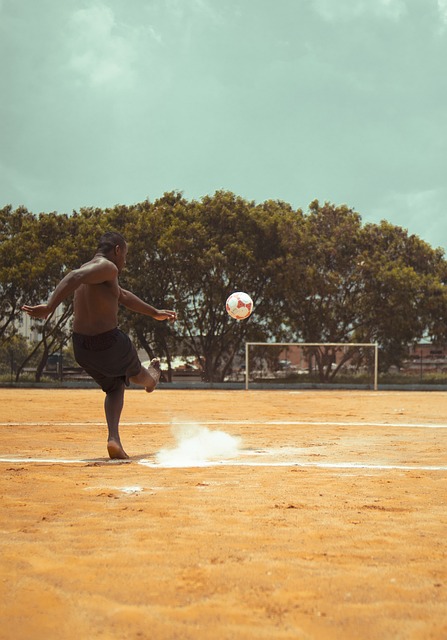 乒乓球爱好 乒乓球爱好