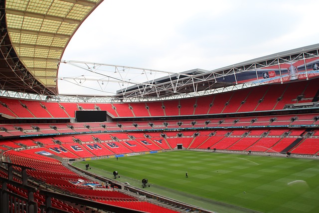 د国内体育