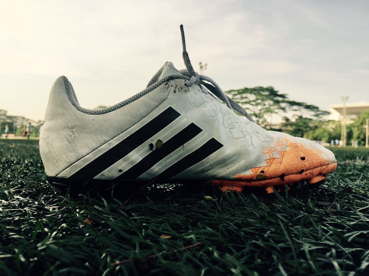 视程度也有
